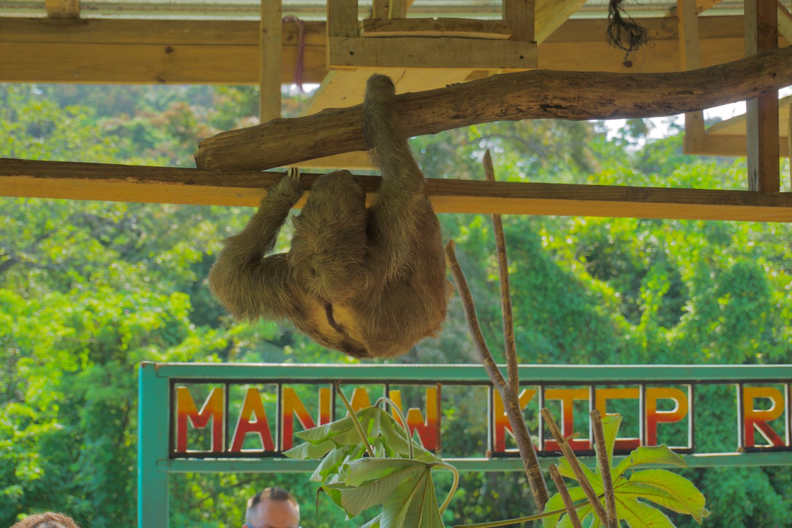 Roatán tour